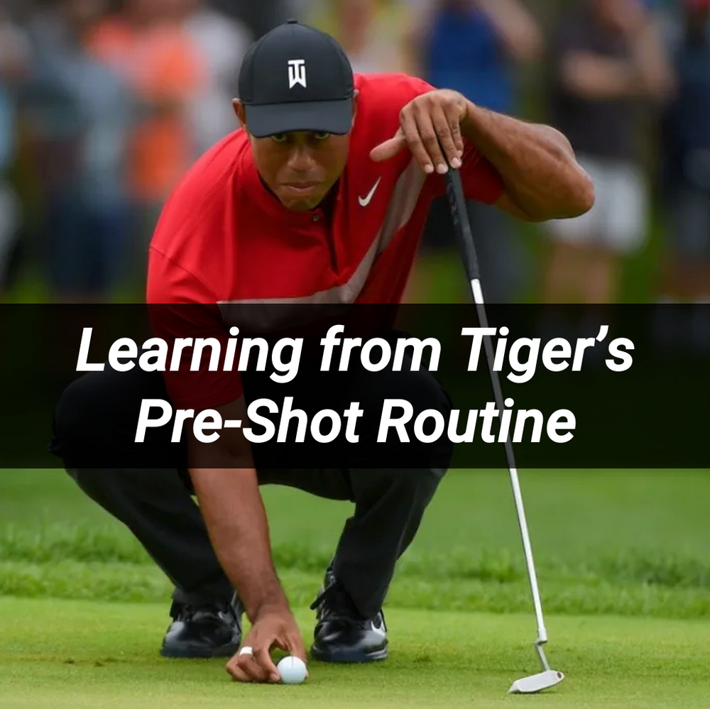 Tiger outlet woods routine